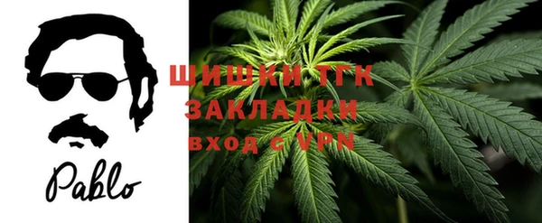 стафф Михайлов