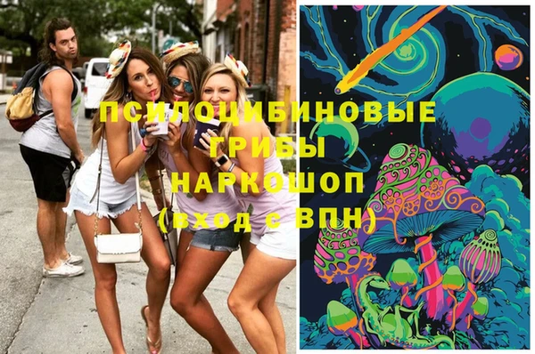 стафф Михайлов