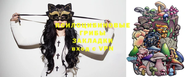 spice Абинск